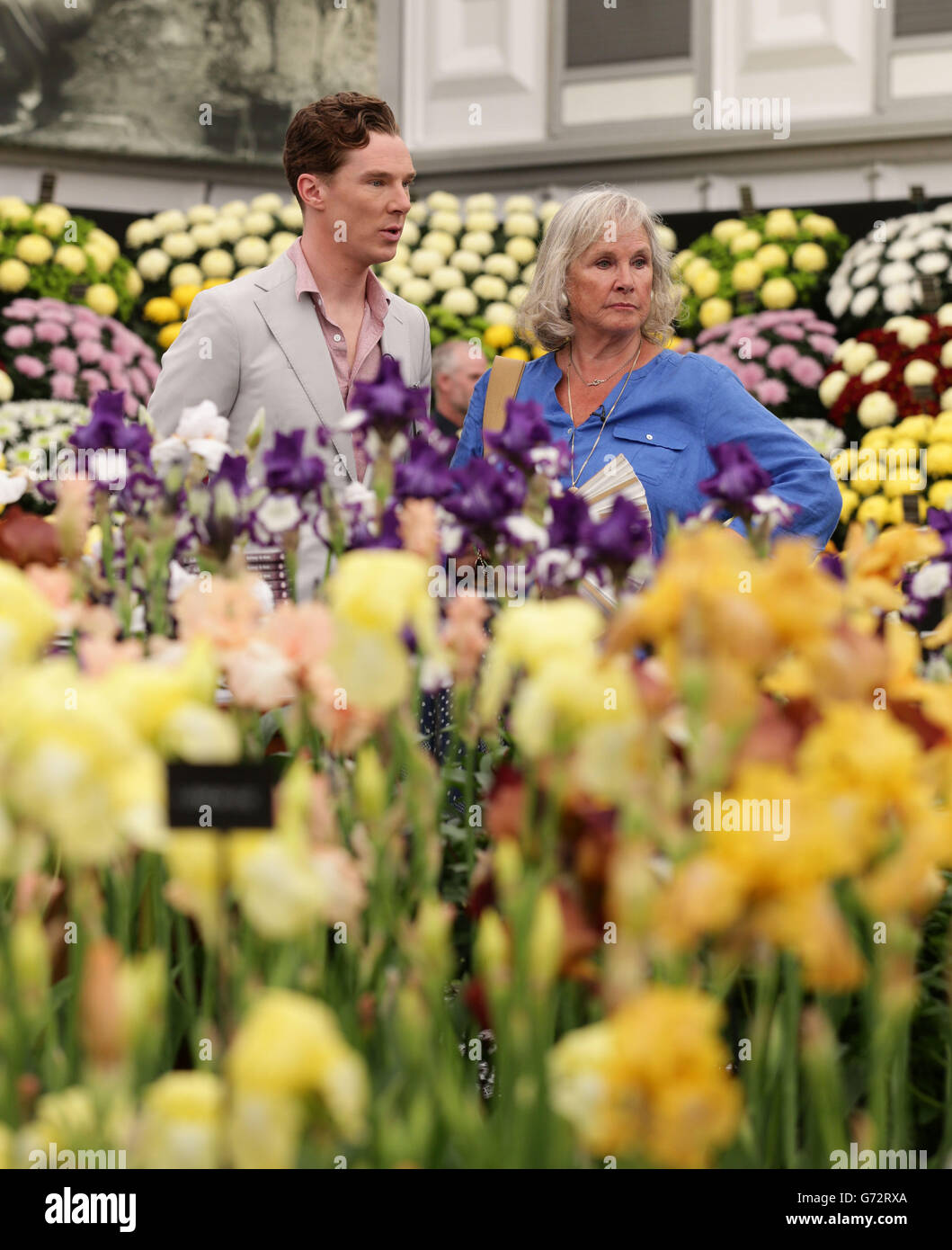 Chelsea Flower Show 2014 Stock Photo Alamy
