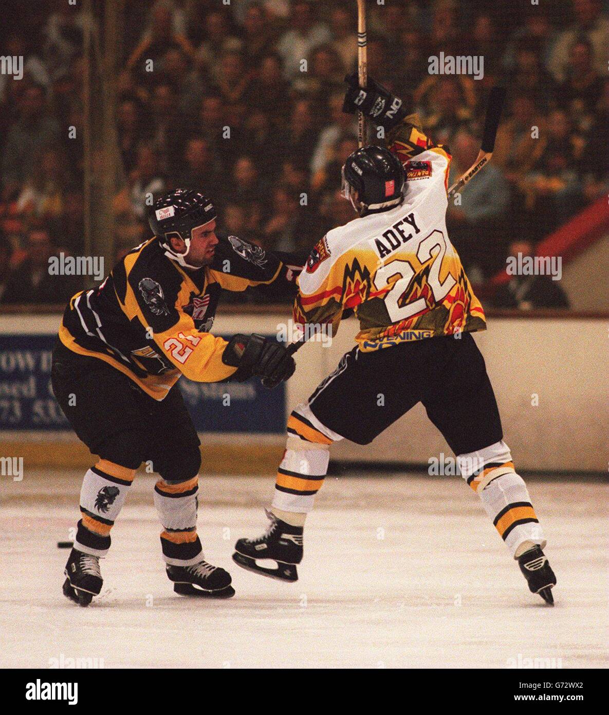 Ice Hockey Nottingham Panthers v Basingstoke Bison. Merv Priest