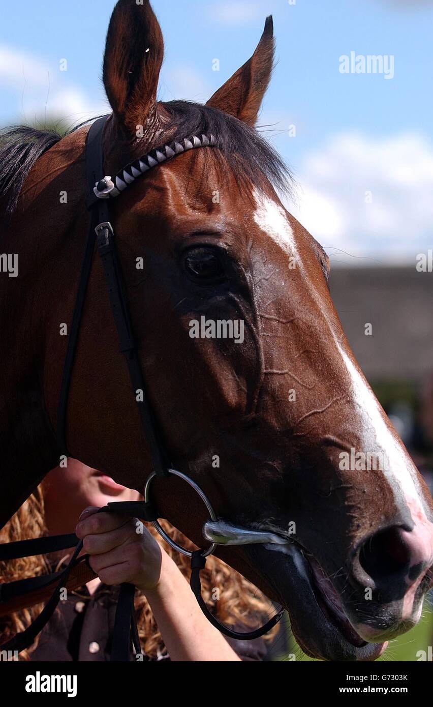 Jockey Johnny Murtagh after winning on Soviet Song Stock Photo