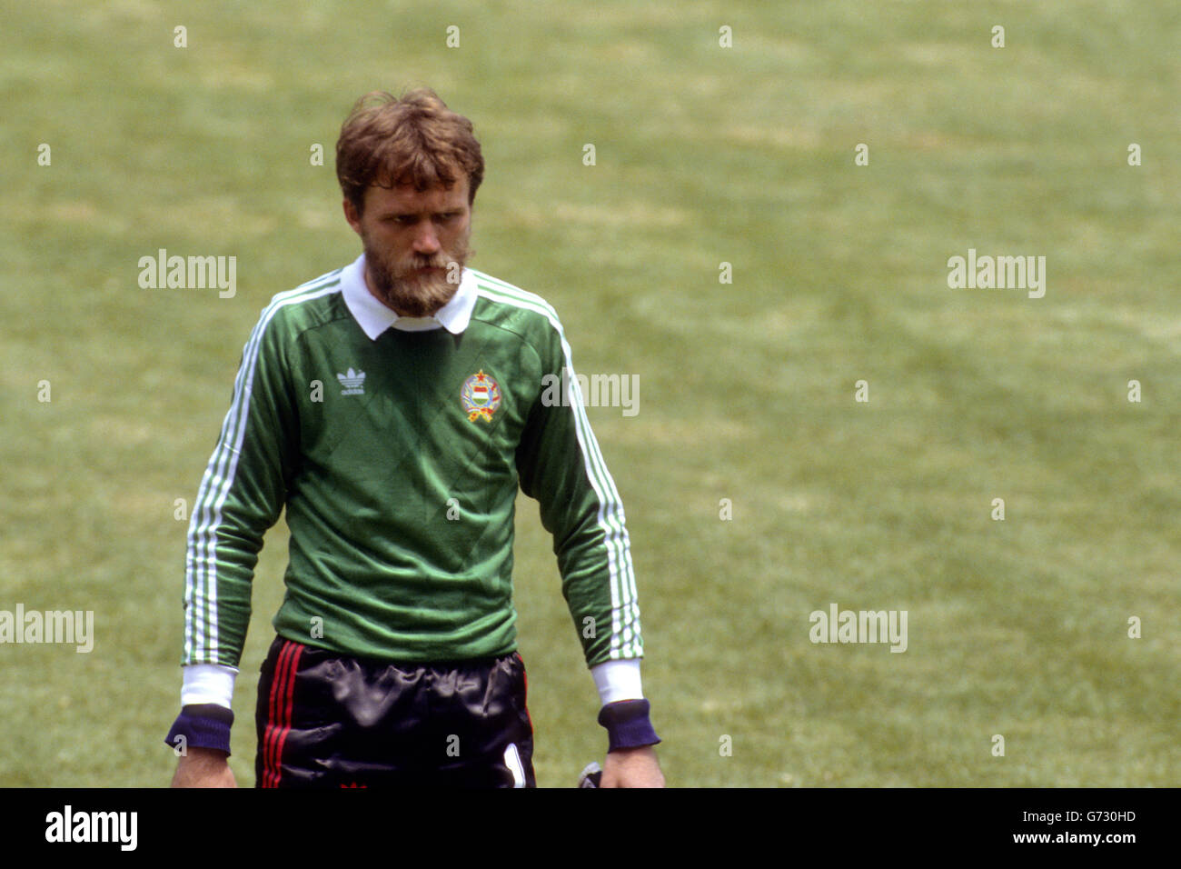 Hungary goalkeeper Peter Disztl leaves the pitch having let in six goals against the Soviet Union. Stock Photo