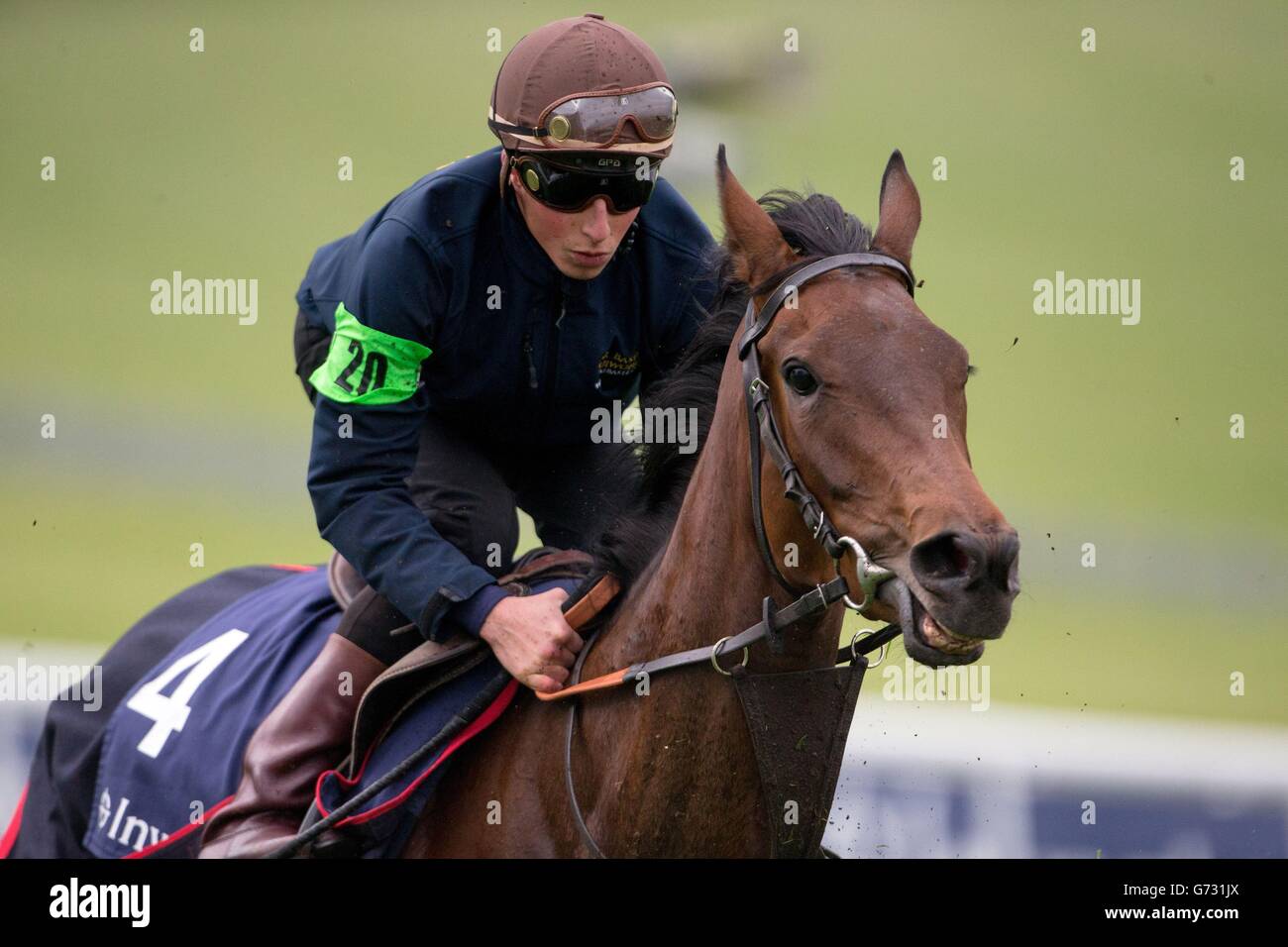 Horse racing breakfast with the stars epsom downs racecourse hires