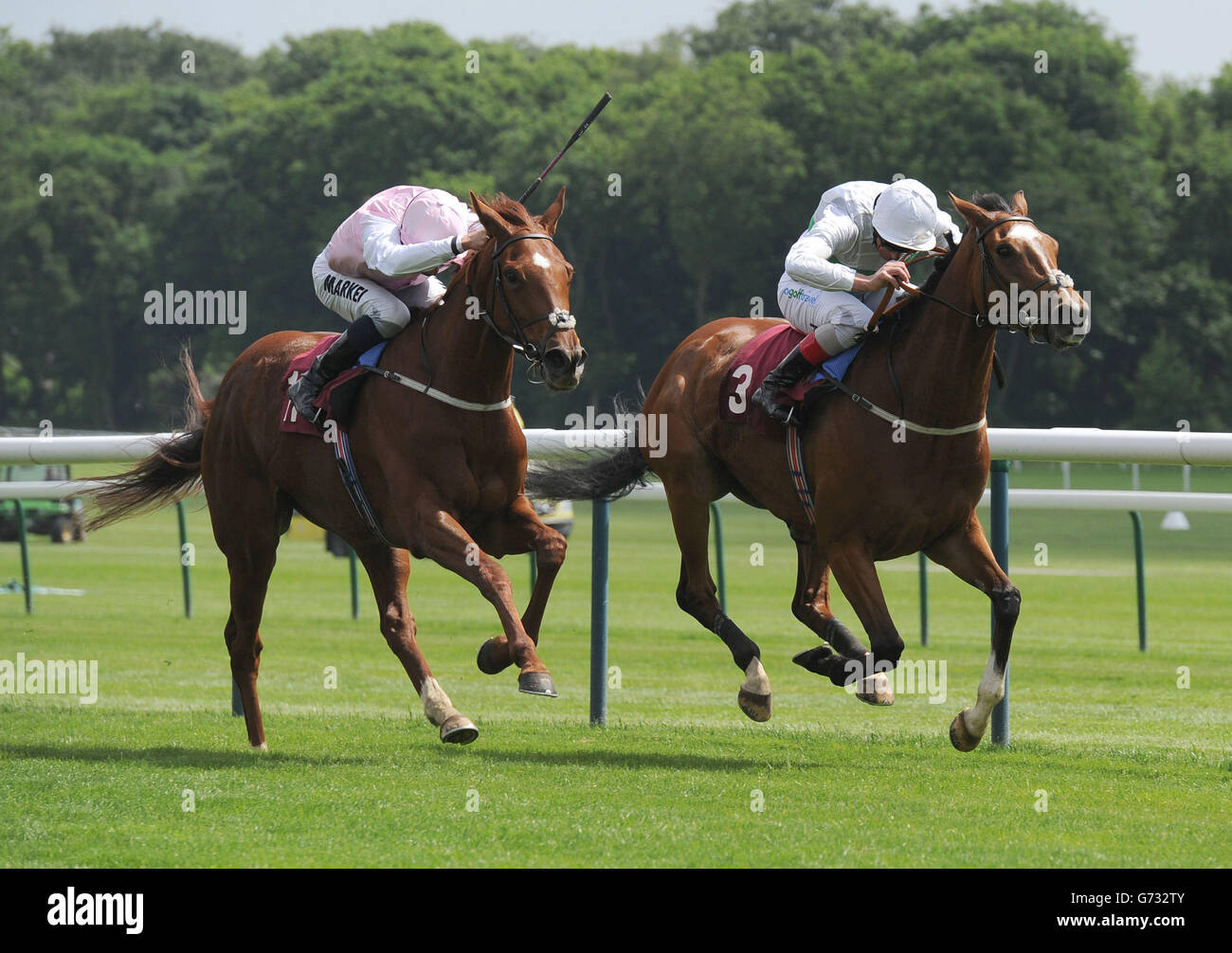Horse Racing Sandy Lane Stakes Haydock Park Racecourse Stock Photo