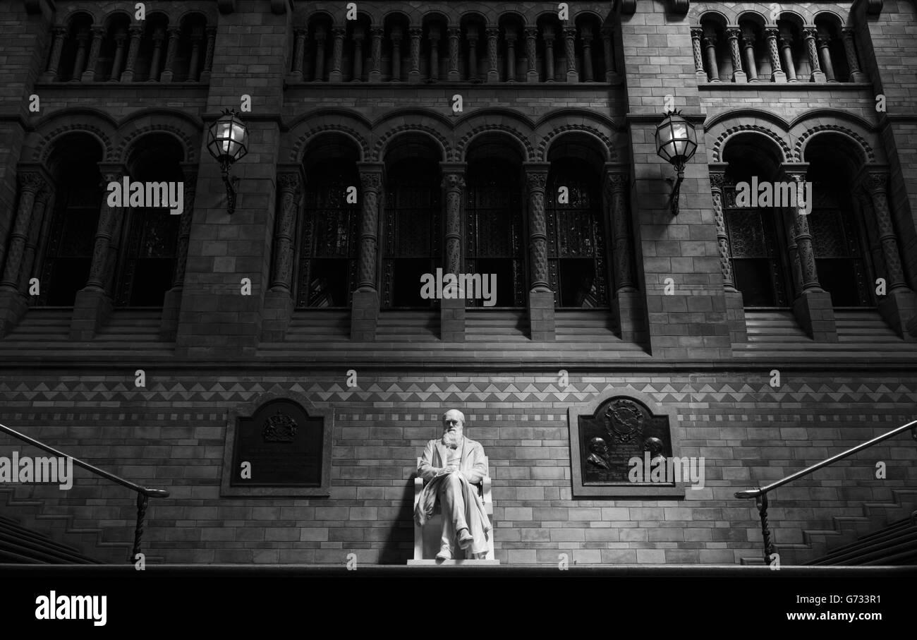 **EDITORS PLEASE NOTE IMAGE CONVERTED TO BLACK AND WHITE** The Natural History Museum. Stock Photo