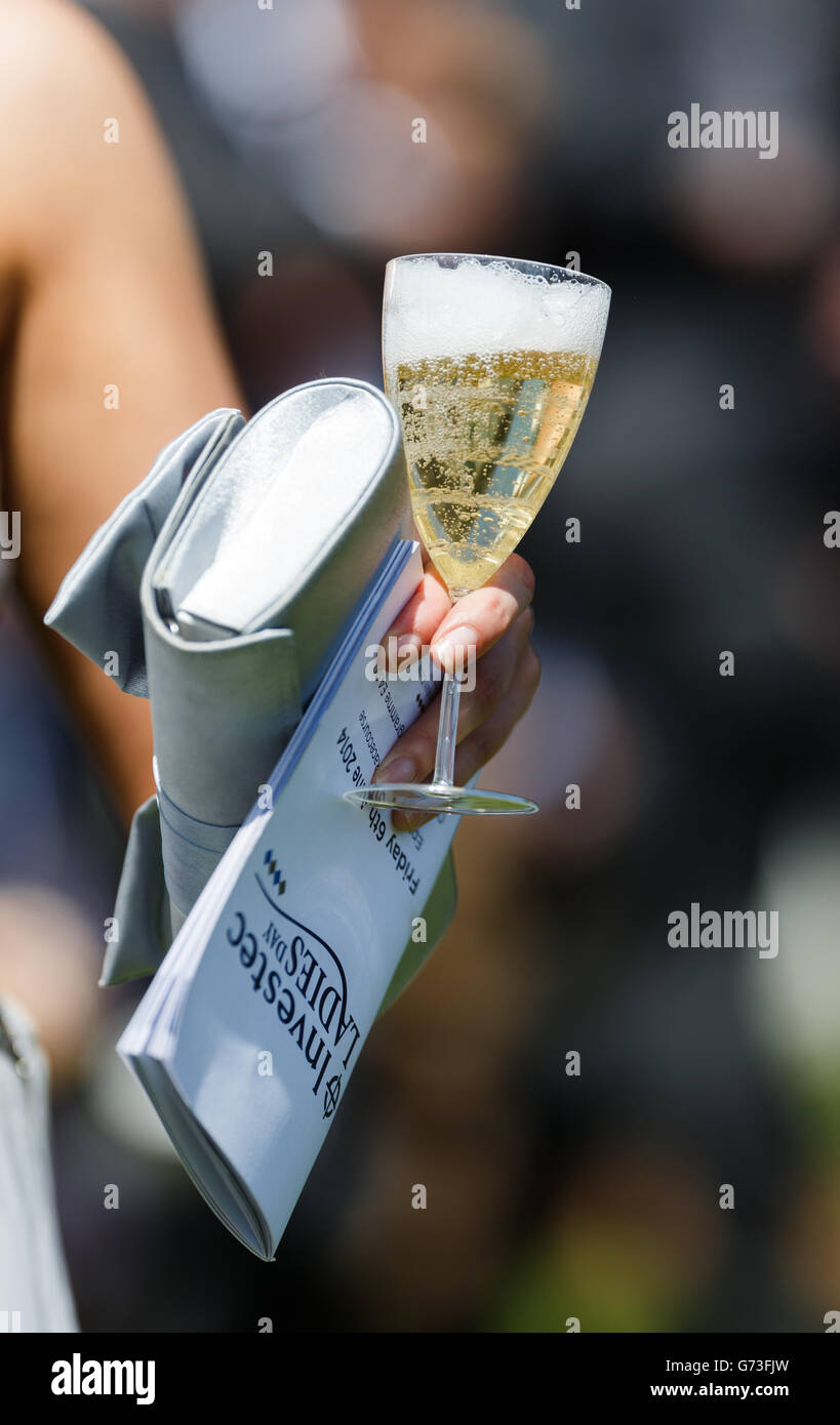 Horse Racing - Investec Ladies Day 2014 - Epsom Downs Racecourse. A racegoer holds a glass of champagne and a racecard Stock Photo