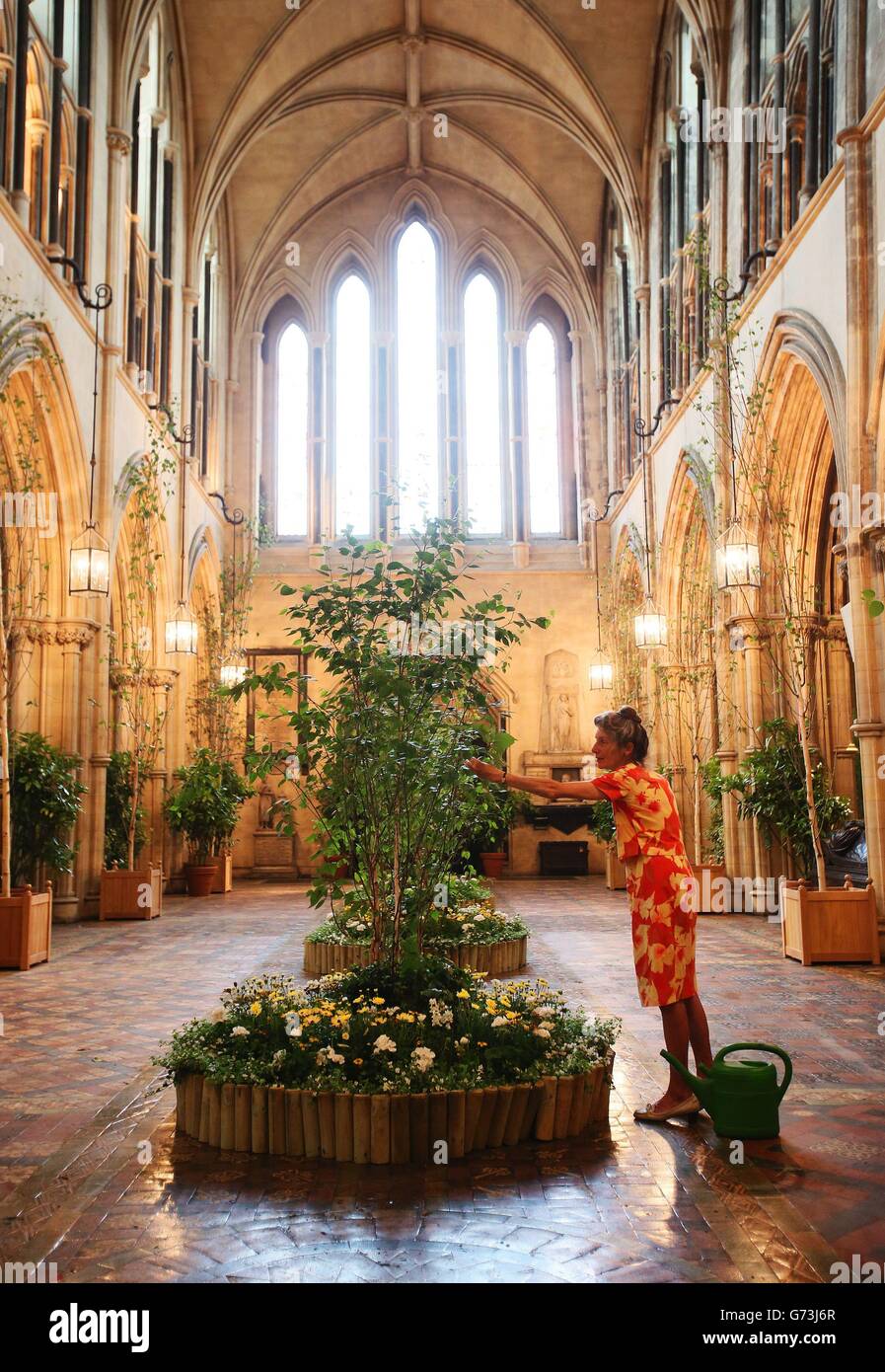 Ruth Kinsella, who has been in charge of flowers at Christ Church Cathedral for 21 years makes final preparations ahead of The Dublin Garden Festival which takes place at the Cathedral this weekend Friday 13th - Sunday 15th. Stock Photo