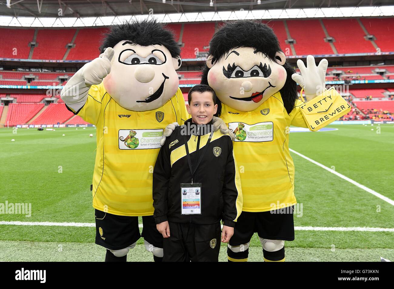 Burton Albion Mascot High Resolution Stock Photography and Images - Alamy