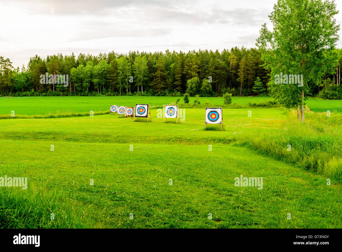 Outdoor archery targets on grass field surrounded by forest in the