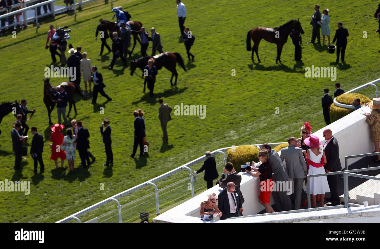 Horse Racing - Investec Ladies Day 2014 - Epsom Downs Racecourse. Race goers watch horses unsaddle after the Investec Oaks during Investec Ladies Day at Epsom Downs Racecourse, Surrey. Stock Photo