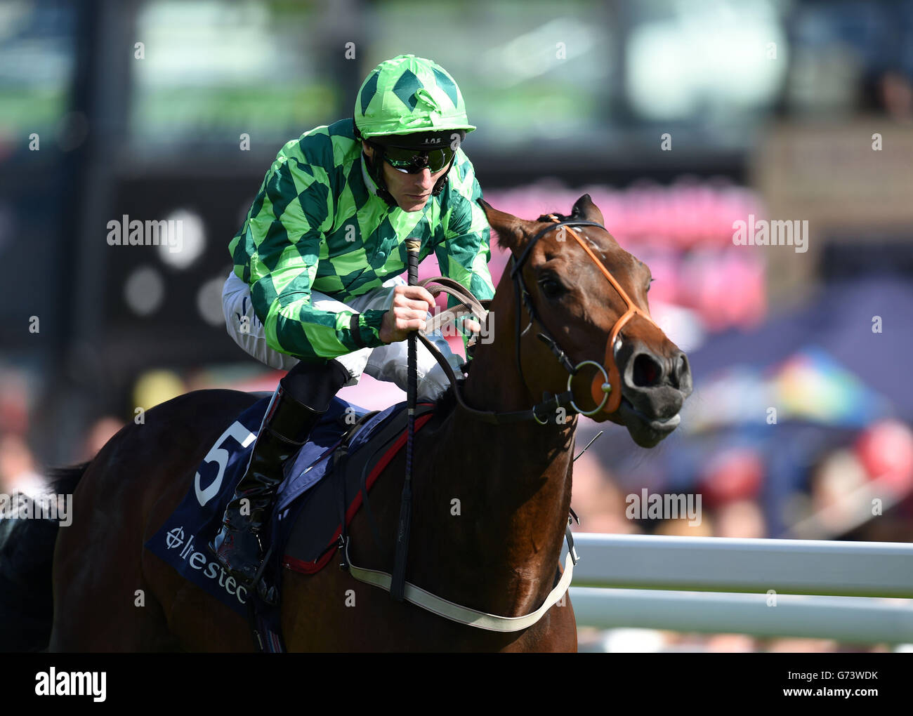 Horse Racing - Investec Ladies Day 2014 - Epsom Downs Racecourse. That Is The Spirit ridden by Daniel Tudhope wins The Investec Surrey Stakes during Investec Ladies Day at Epsom Downs Racecourse, Surrey. Stock Photo