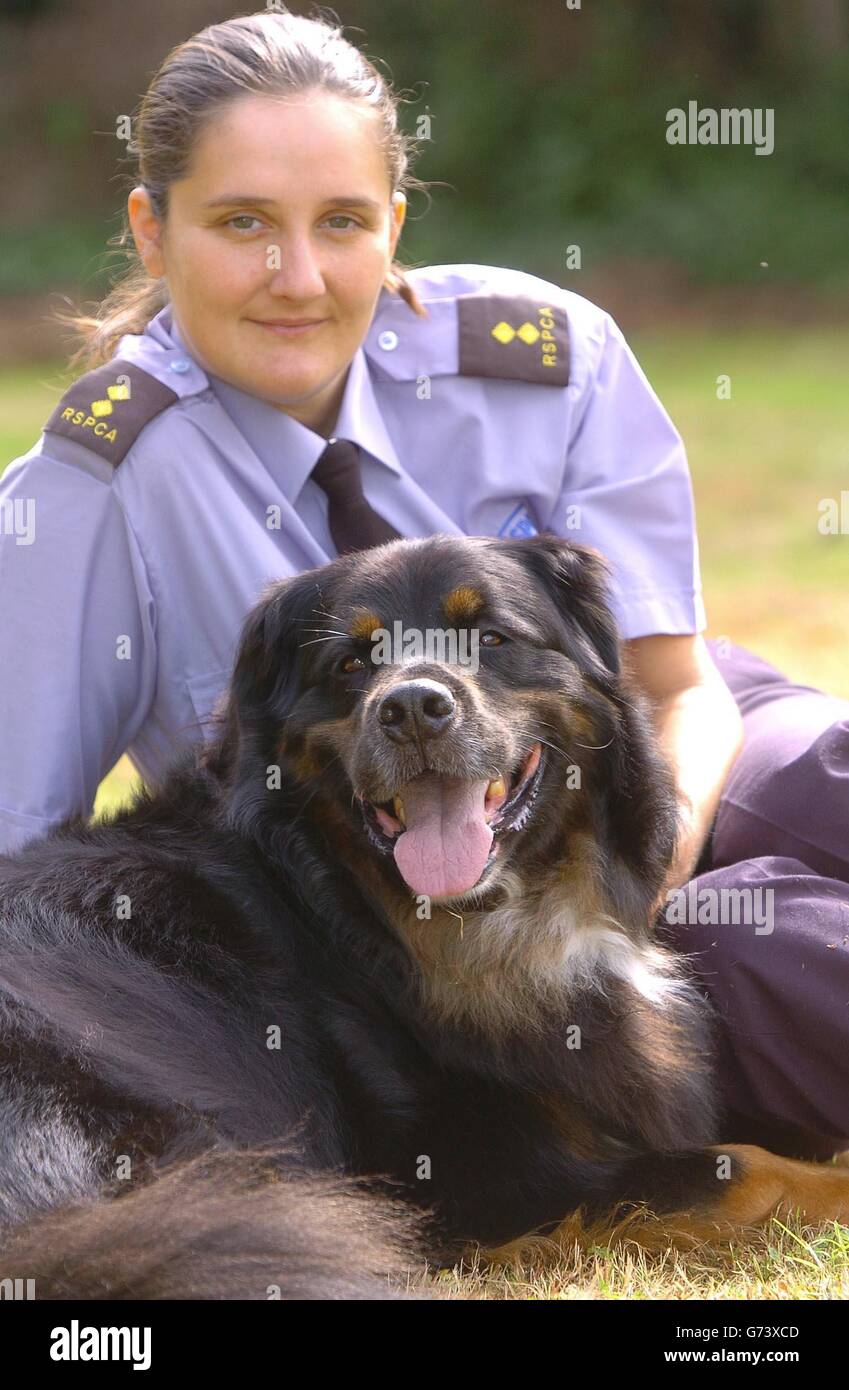 Leybourne rspca dogs 2025