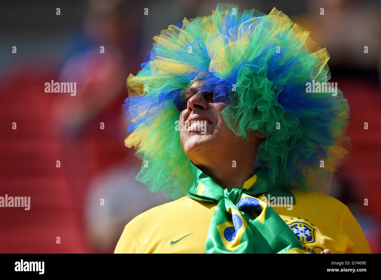 Soccer - FIFA World Cup 2014 - Group E - Switzerland v Ecuador - Estadio Nacional. A Brazilian football fan before the game Stock Photo