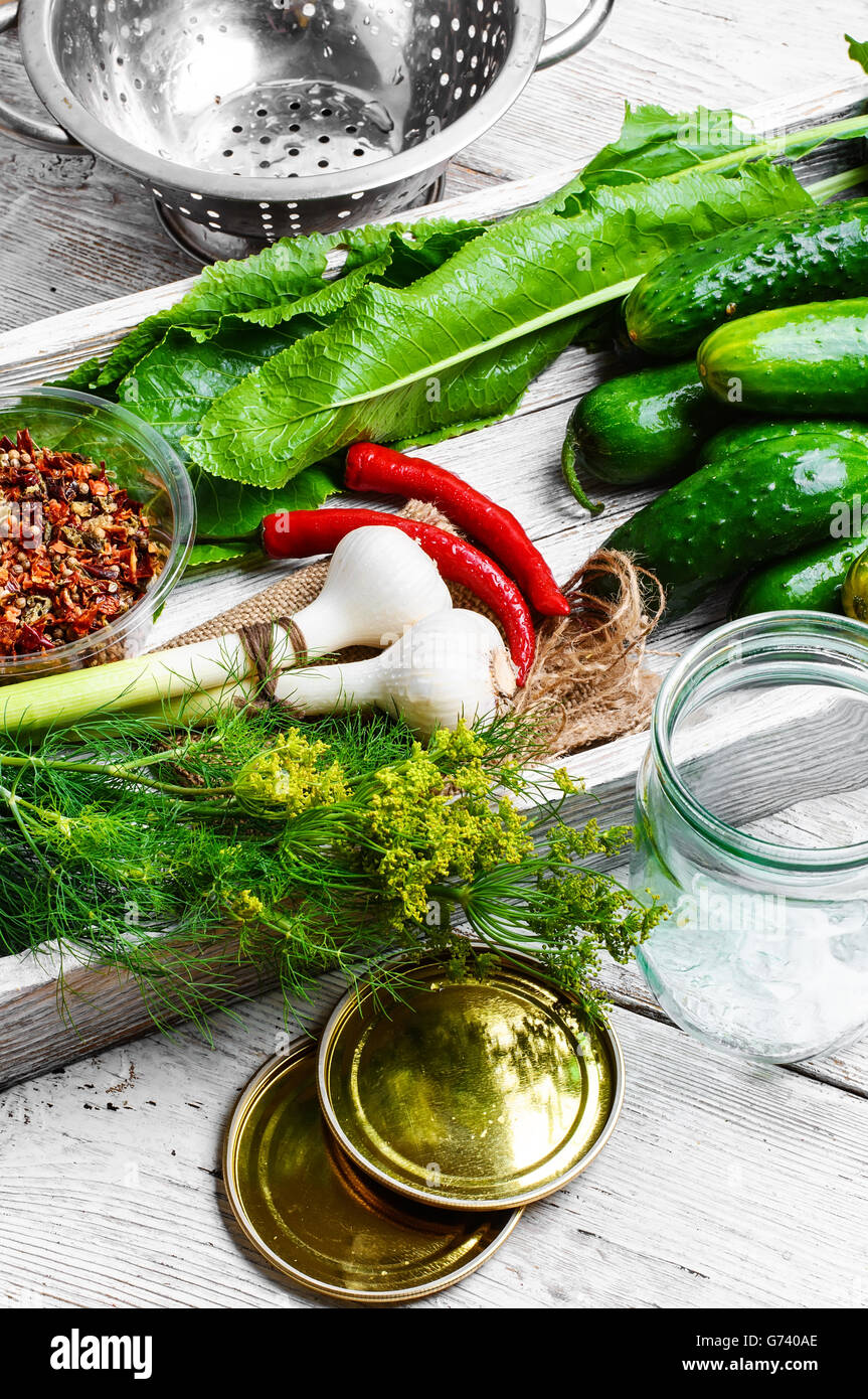 yield of cucumber,pepper,spices and fennel for pickling Stock Photo Alamy