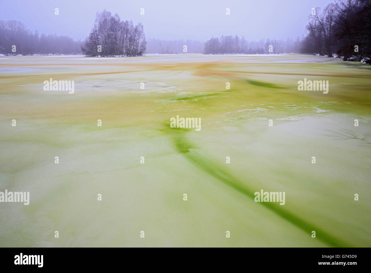 Frozen Lake, Pfrunger-Burgweiler Ried, Germany Stock Photo
