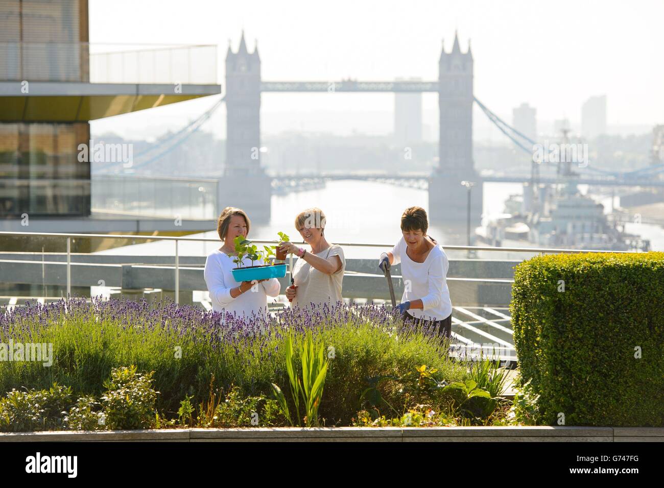 Rooftop garden at Nomura - London Stock Photo