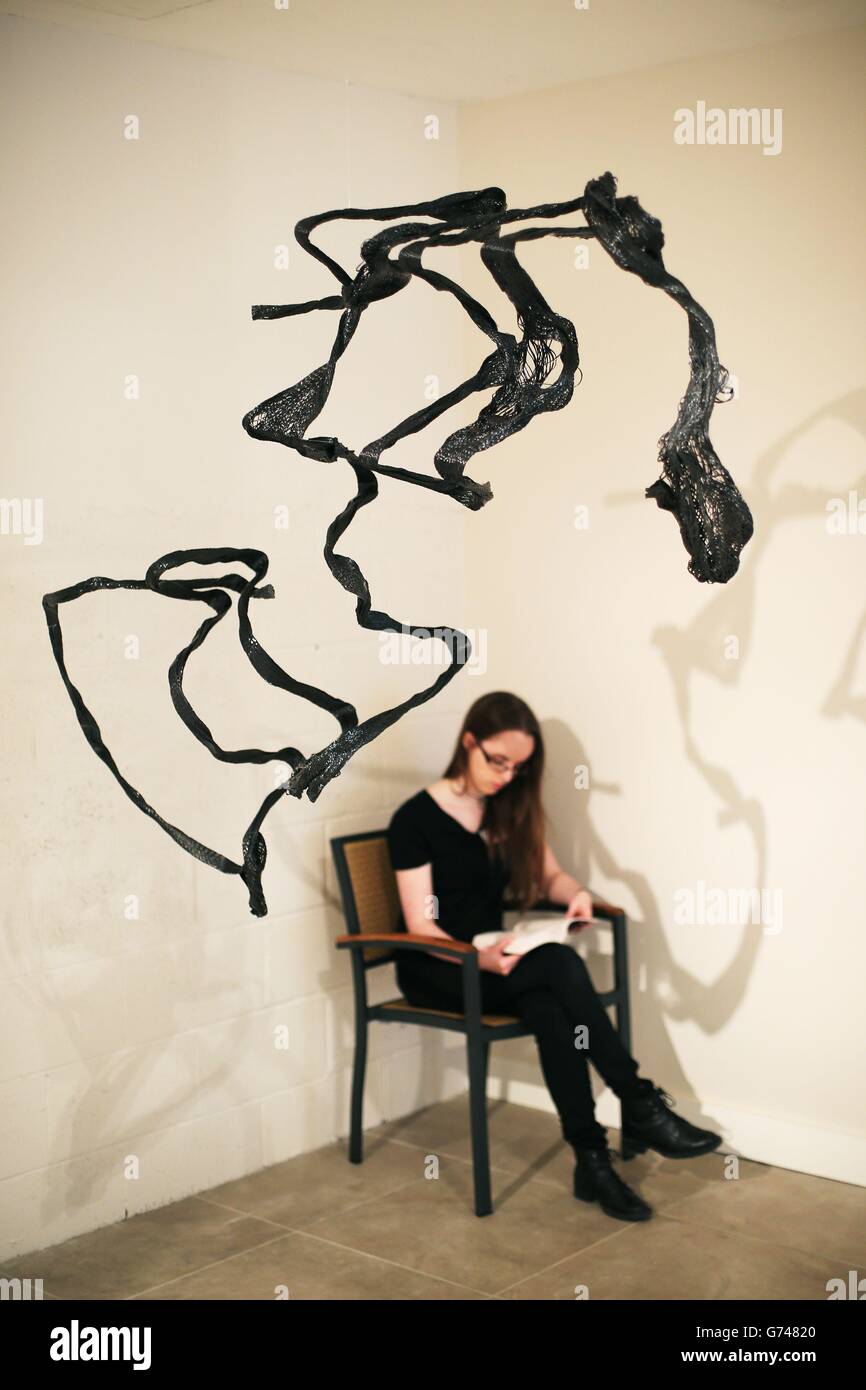 Dublin Biennial International Art Exhibition Stock Photo Alamy