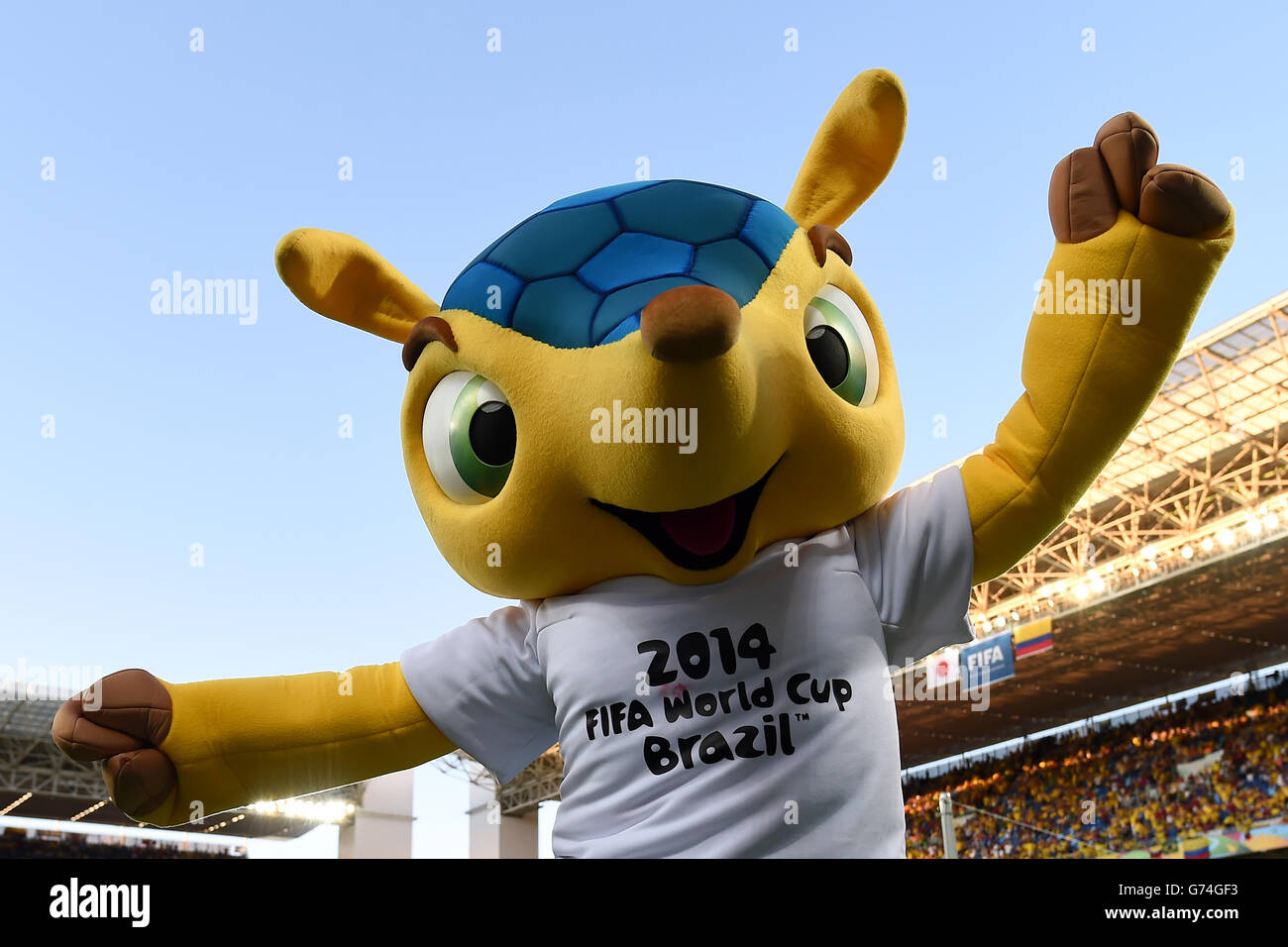 Soccer - FIFA World Cup 2014 - Group C - Japan v Colombia - Arena Pantanal. Fuleco, the FIFA World Cup 2014 Mascot Stock Photo