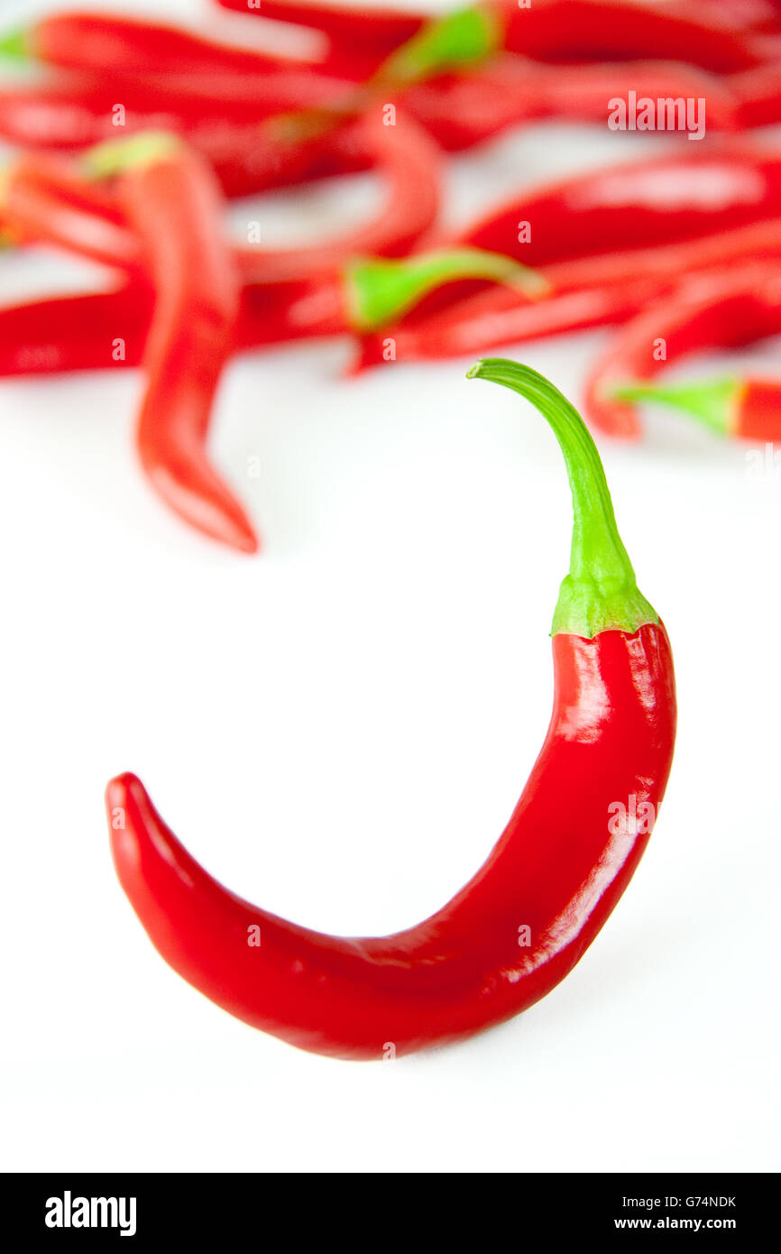 Indian chili pepper plant hires stock photography and images Alamy