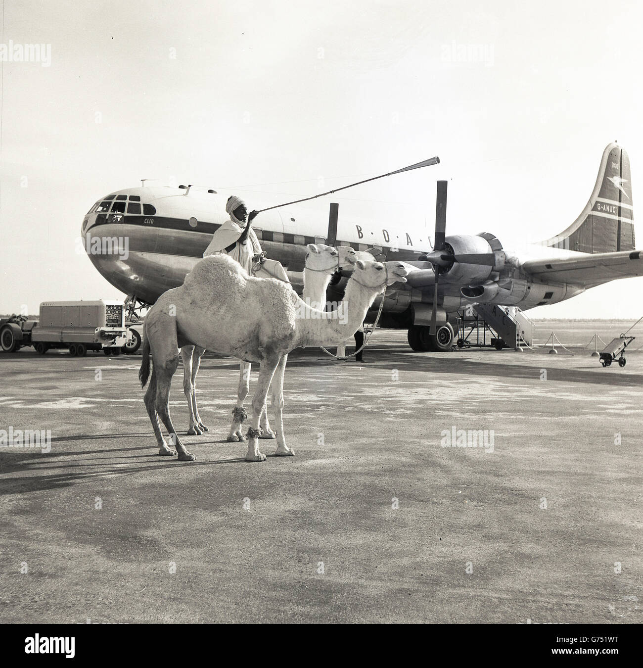 1955, historical, Native african male on camel uses horn to announce ...