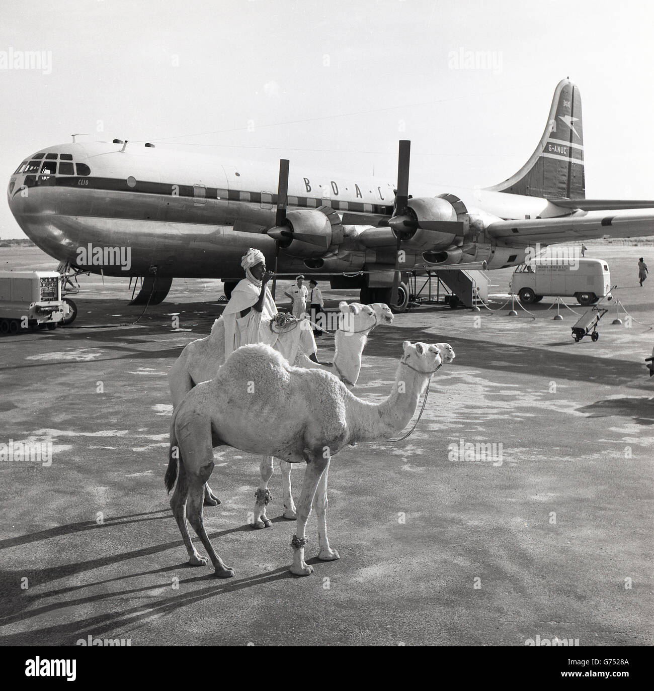 1955, historical, Native african male on camel uses horn to announce ...
