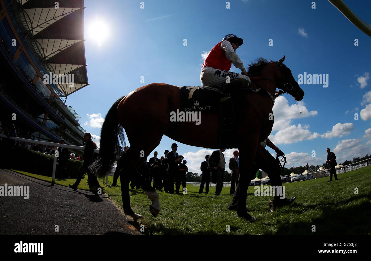Horse Racing - The Royal Ascot Meeting 2014 - Day Two - Ascot Racecourse Stock Photo