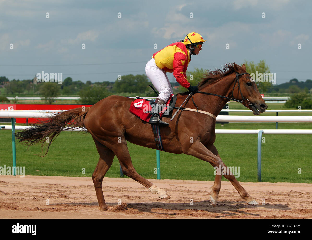 Horse Racing - Southwell Racecourse. Joyful Motive ridden by Miss L Wilson goes to post Stock Photo