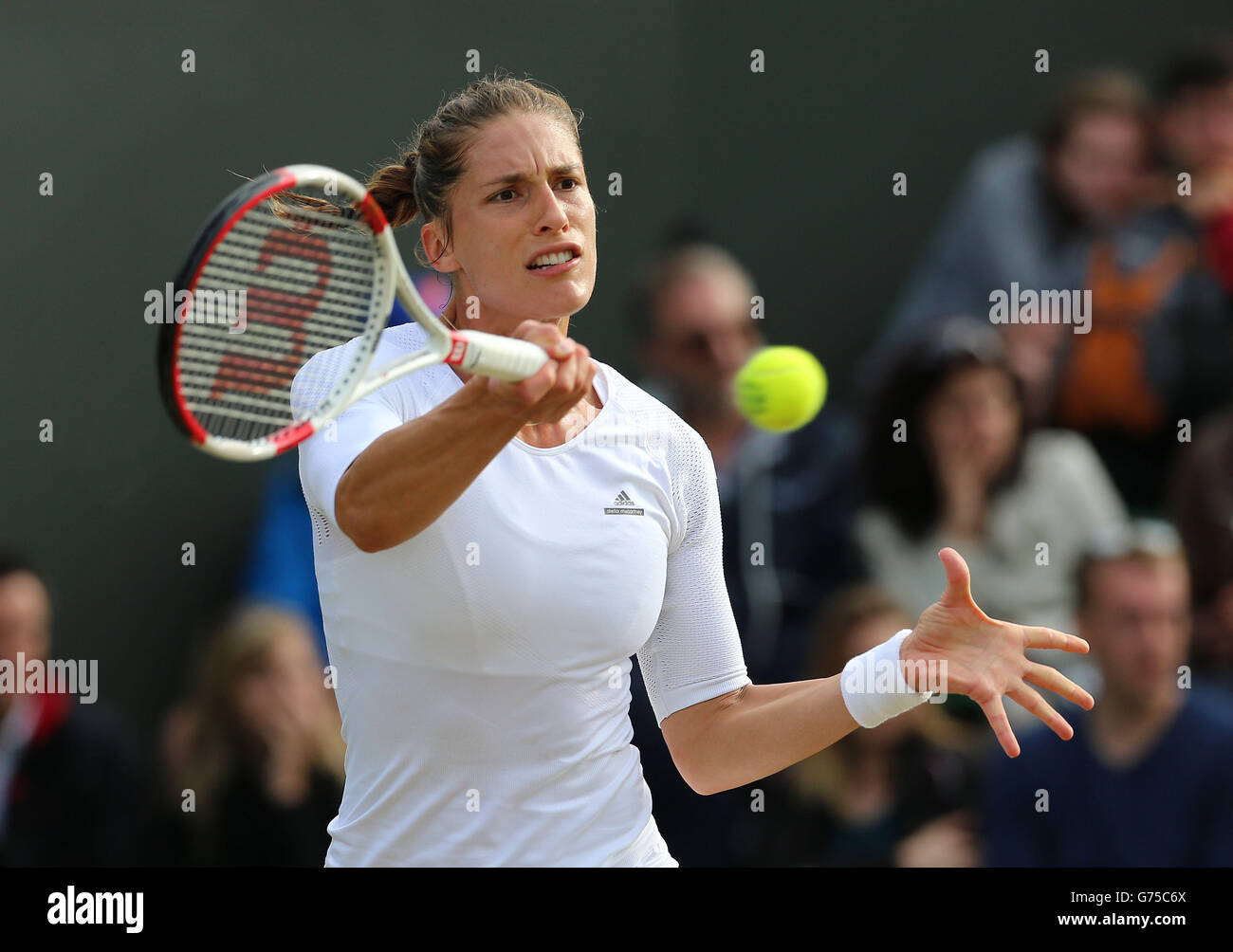 Germany's Andrea Petkovic in action against Canada's Eugenie Bouchard  during day six of the Wimbledon Championships at the All England Lawn Tennis  and Croquet Club, Wimbledon Stock Photo - Alamy