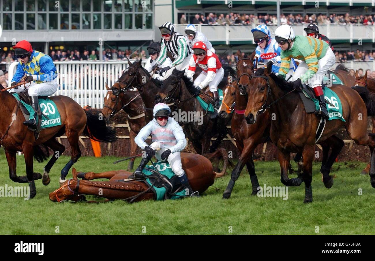 Racing at Cheltenham Stock Photo - Alamy