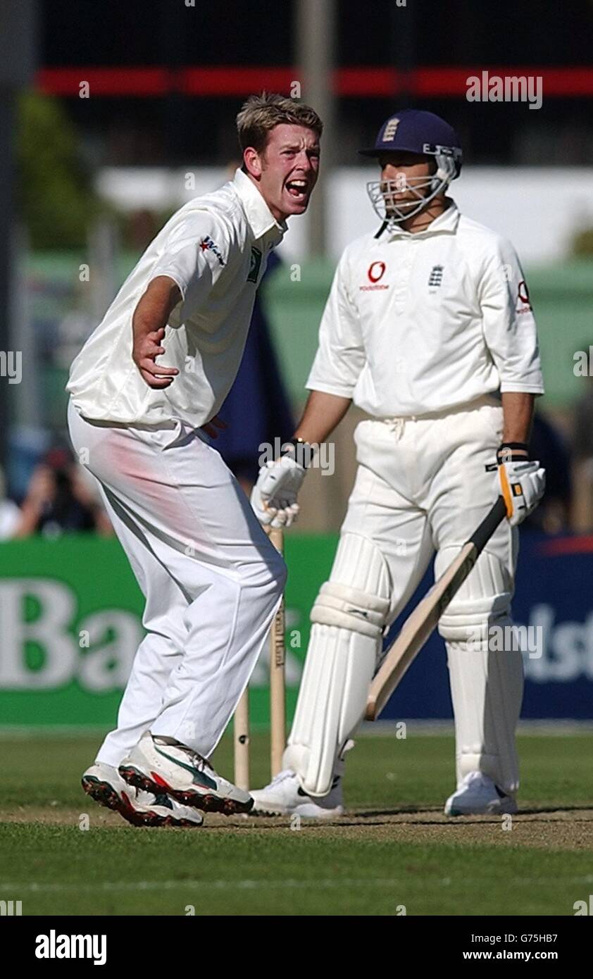 England v New Zealand test match Stock Photo Alamy