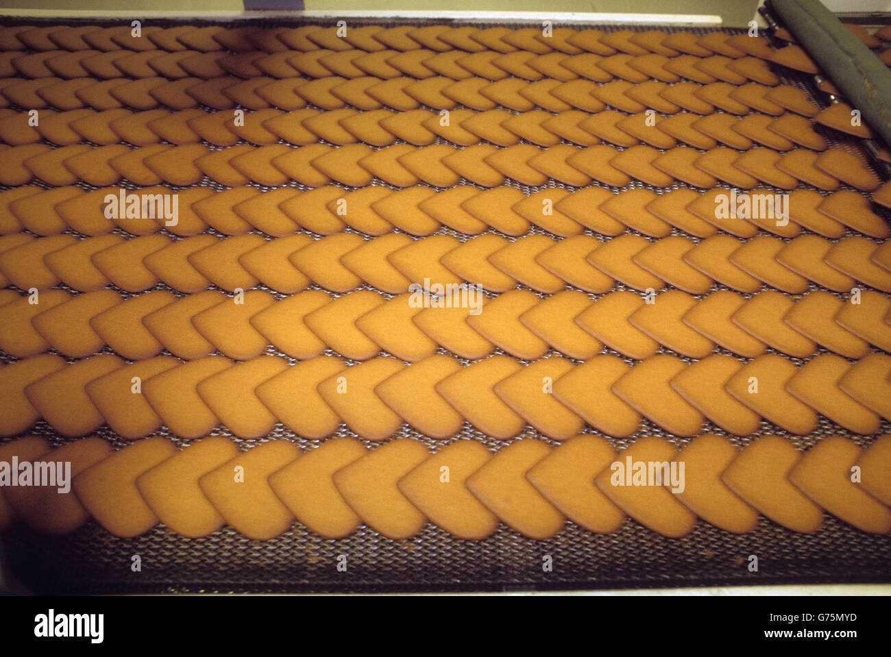 GINGERBREAD cookies after baking Stock Photo