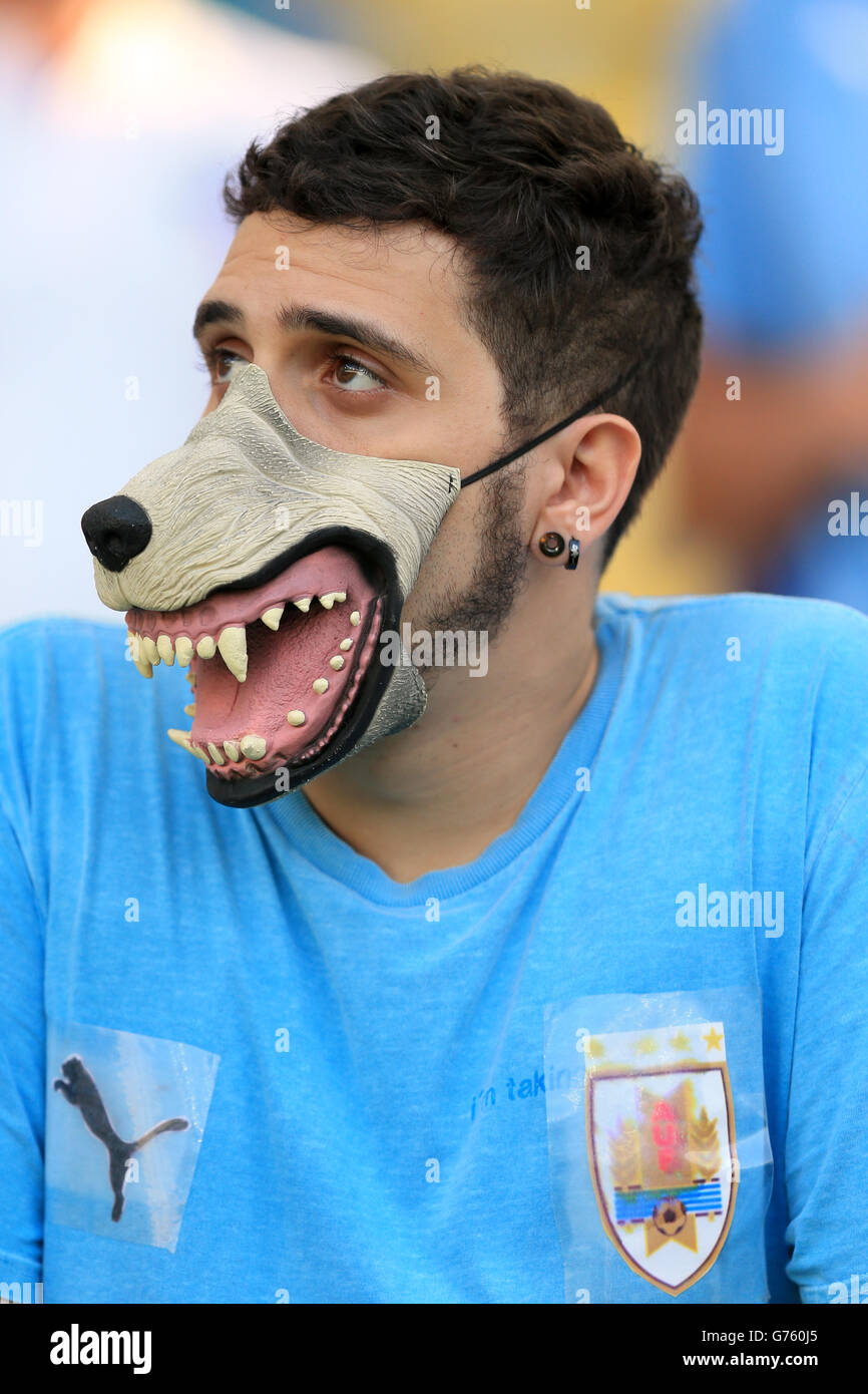 A Uruguay fan shows his support for Luis Suarez in the stands before the FIFA World Cup, Round of 16 match at the Estadio do Maracana, Rio de Janeiro, Brazil. Stock Photo