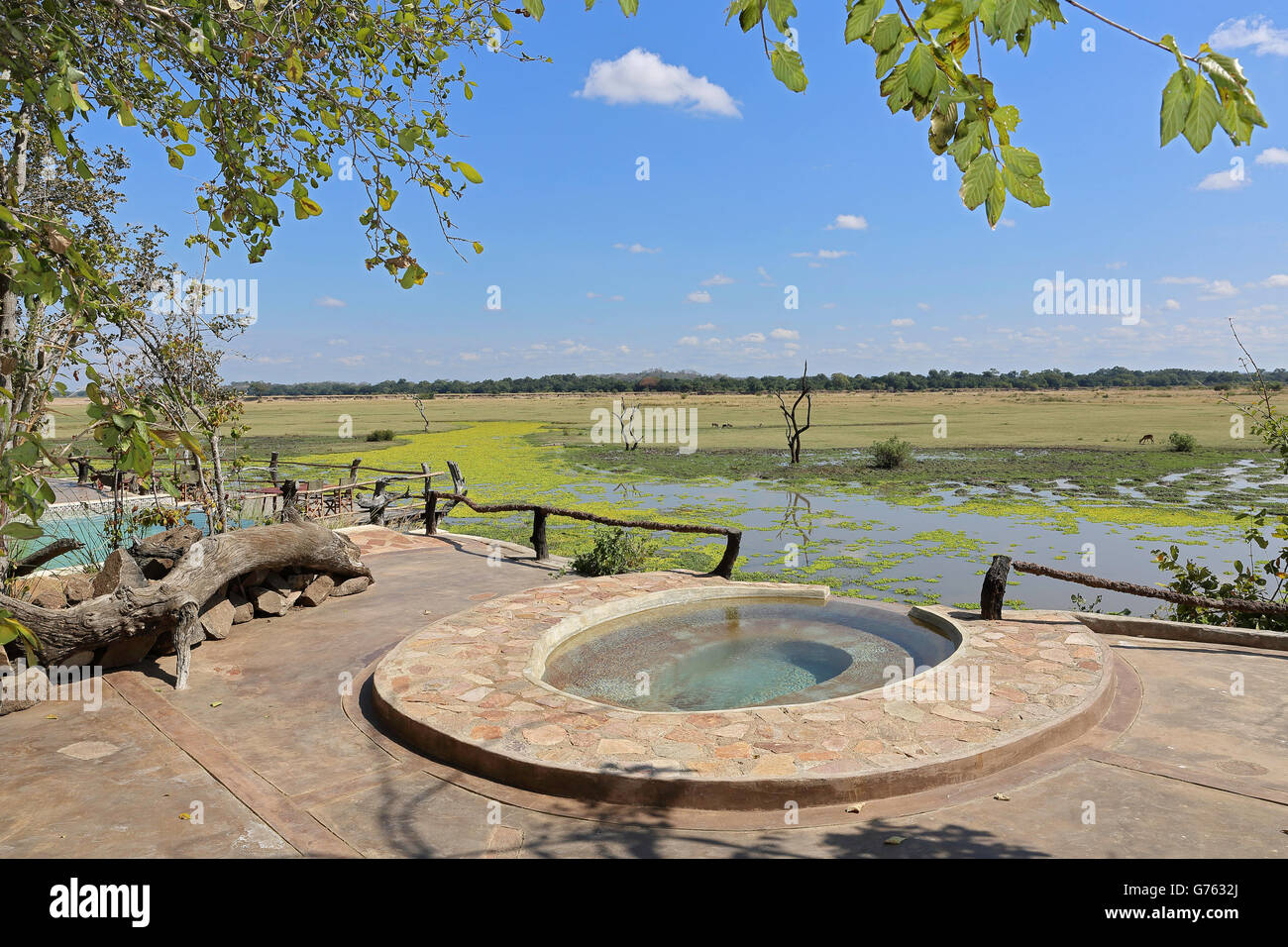 swimming pool, view to African savanna, Kafunta River Lodge, South Luangwa NP, Zambia, Africa Stock Photo