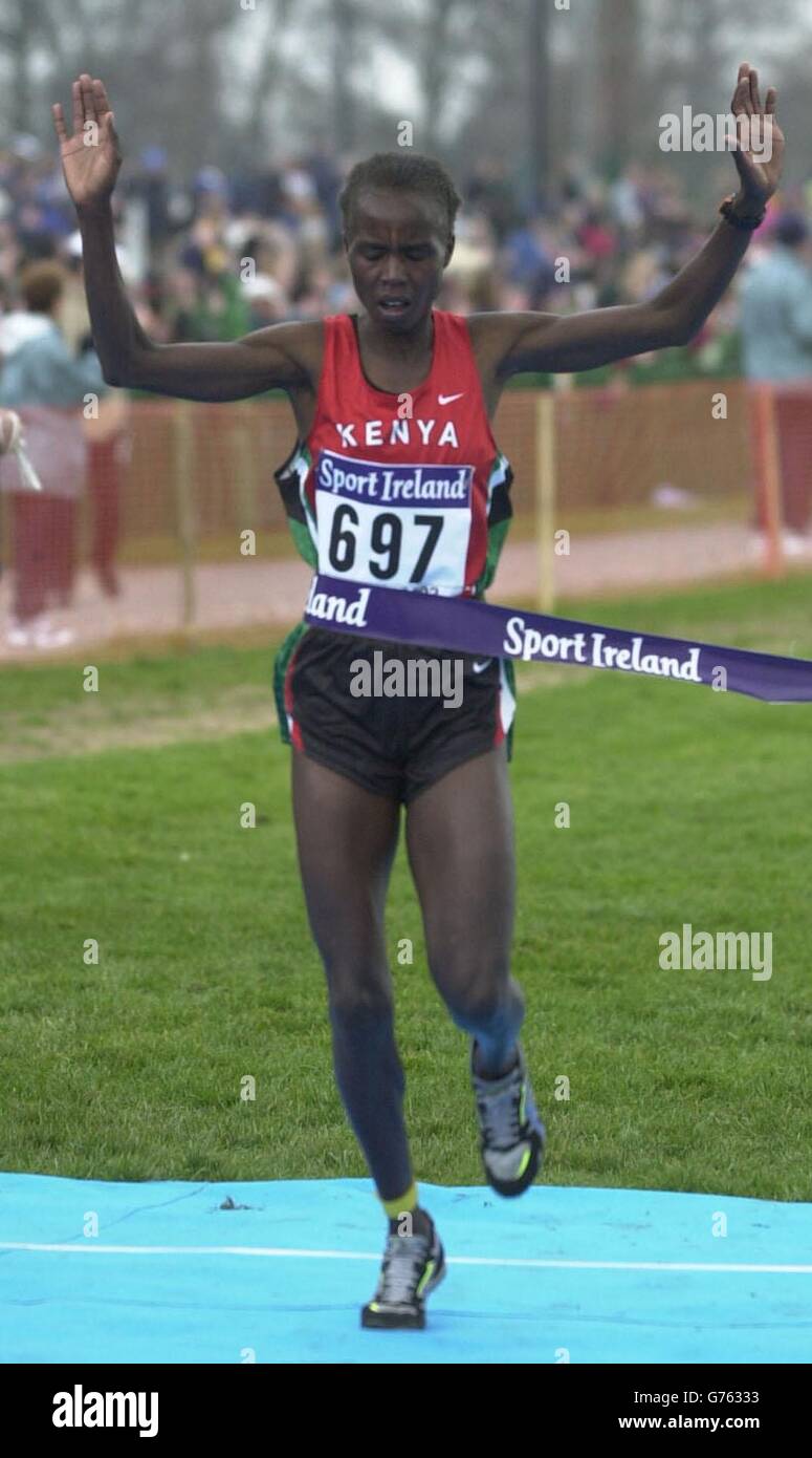 Dublin 2002 Cross Country Stock Photo Alamy