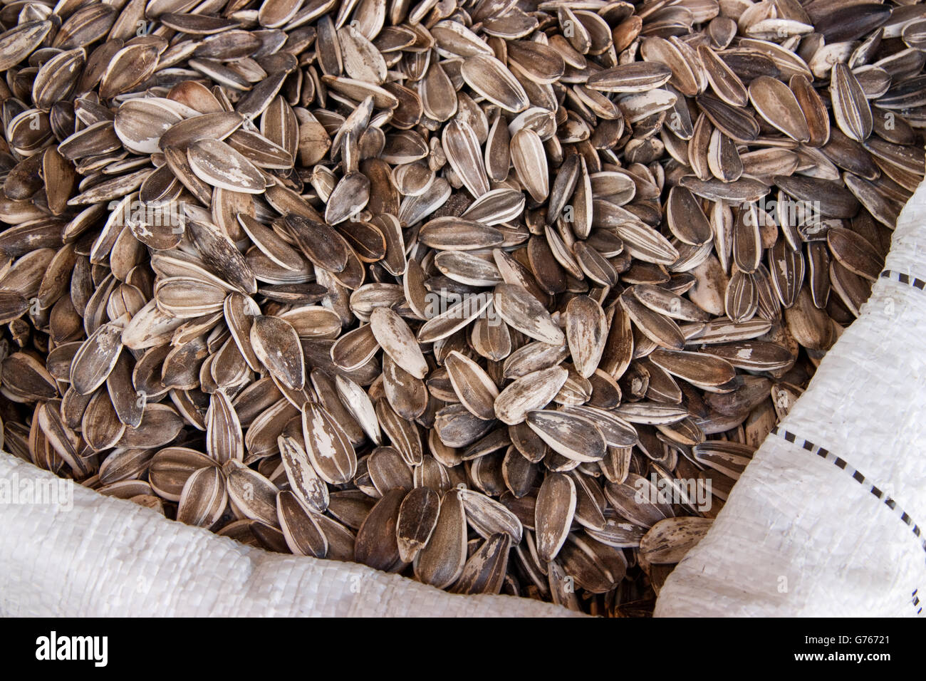 Plant sunflower seeds hi-res stock photography and images - Alamy