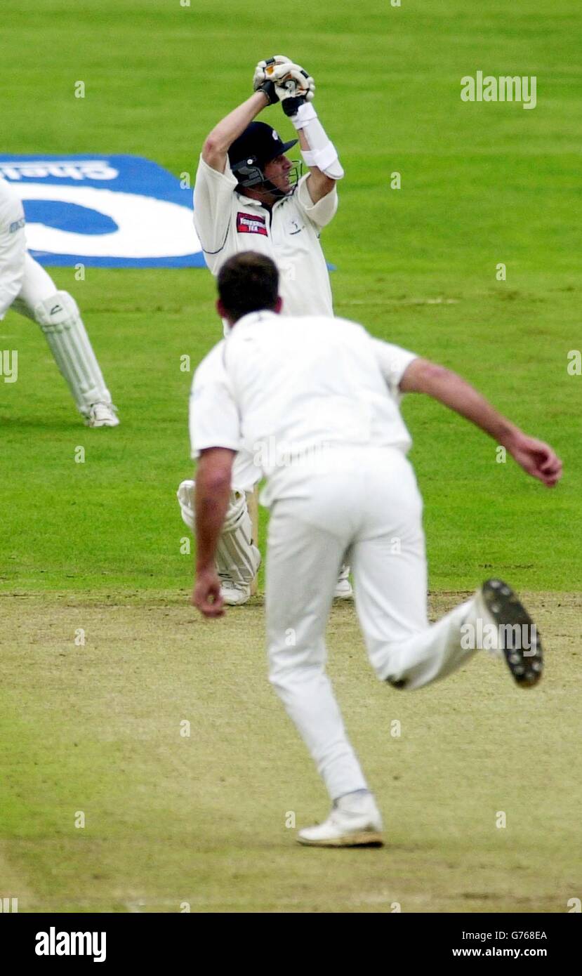 Yorkshire's Matthew Wood plays a hook shot for a boundary off the bowling of Surrey's Ed Giddins during the Cheltenham & Gloucester trophy semi-final match at Headingley. Stock Photo