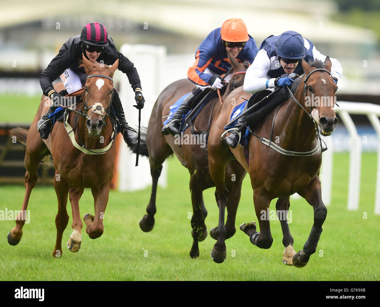 Horse Racing - Newton Abbot Racecourse Stock Photo - Alamy