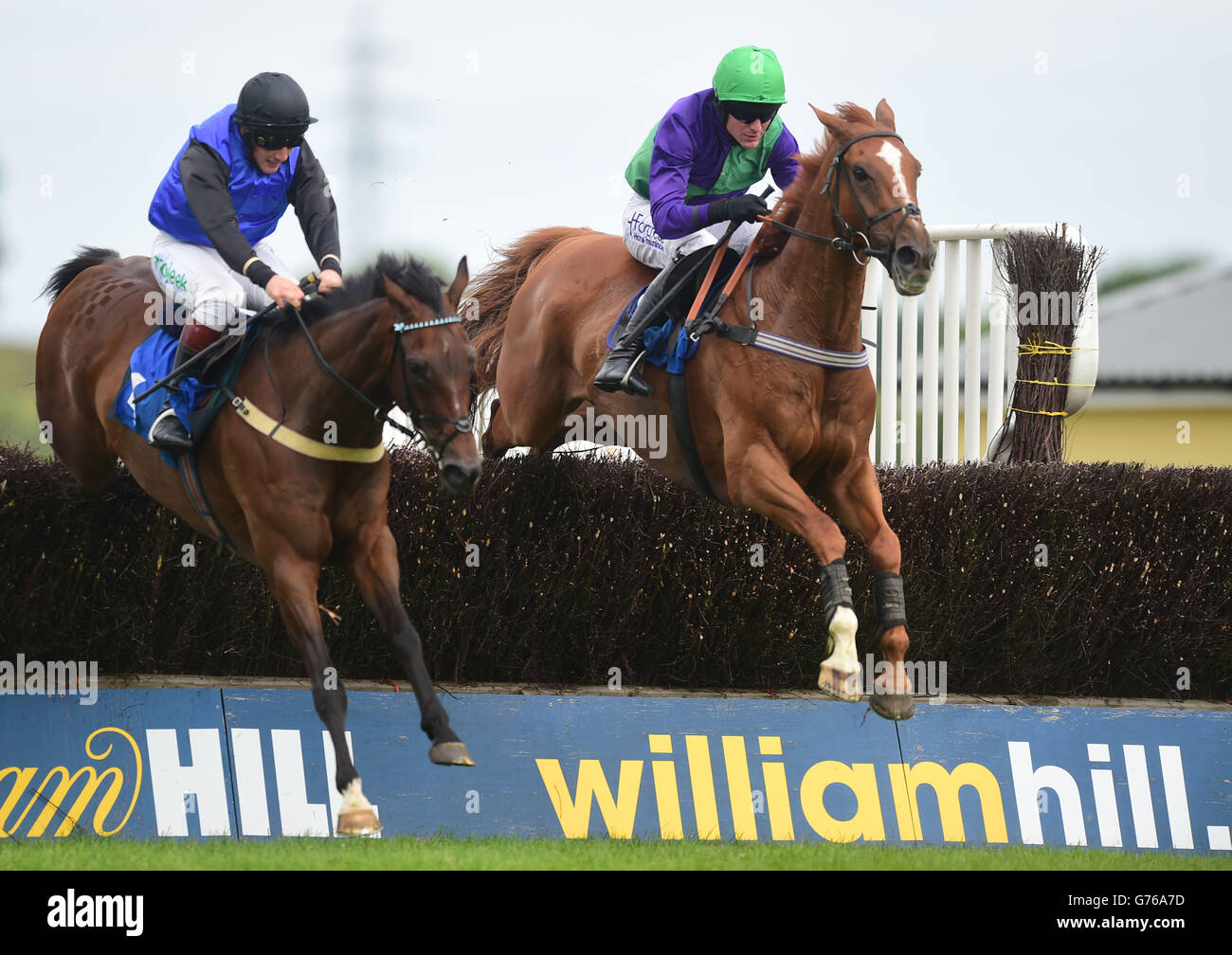 Horse Racing Newton Abbot Racecourse Stock Photo Alamy