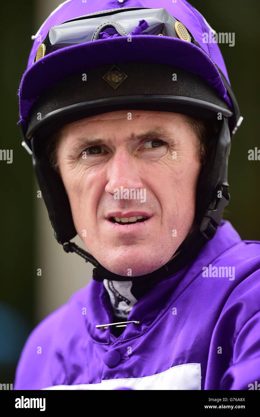 Newton abbot racecourse hires stock photography and images Alamy