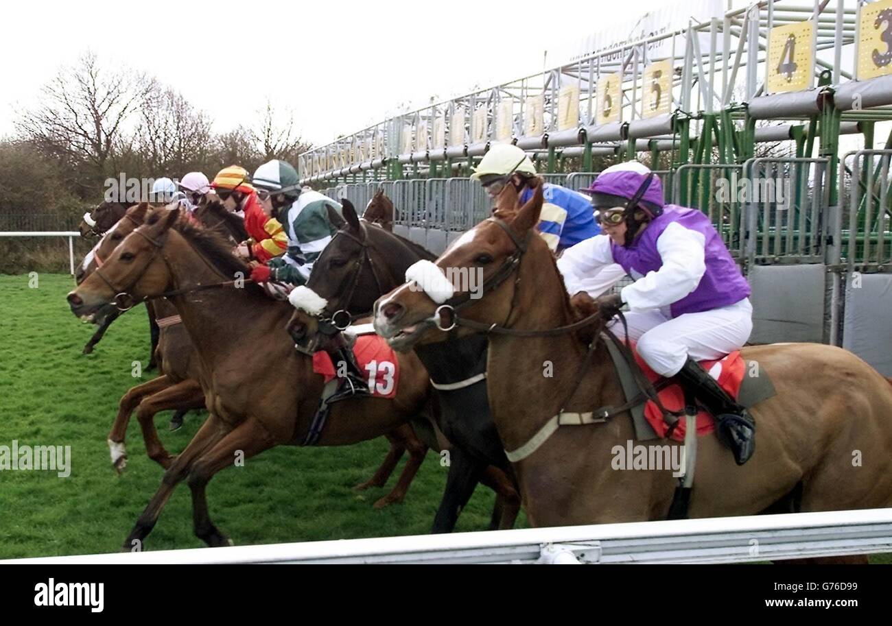 Horses and jockeys leave the stalls of the first race of the new flat