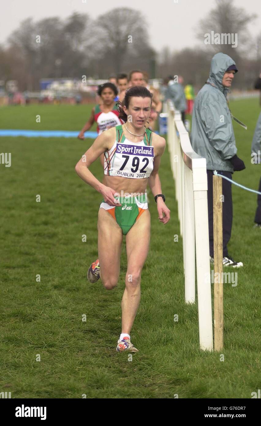 2019 year - Pauline Curley 2019 year