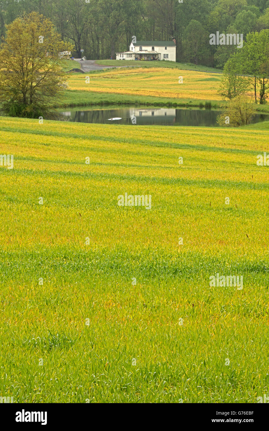Country side, farm land, Maryland Stock Photo Alamy