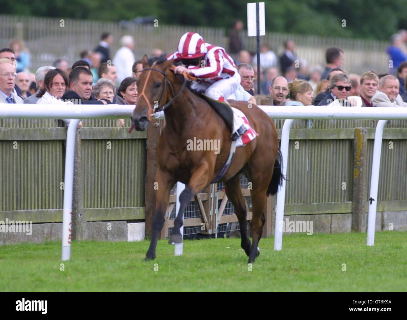 Roundtree ridden by Jimmy Quinn. Roundtree ridden by Jimmy Quinn, wins the Sarah Victoria Jane Fillies' Conditions Stakes Class C at Newmarket. Stock Photo