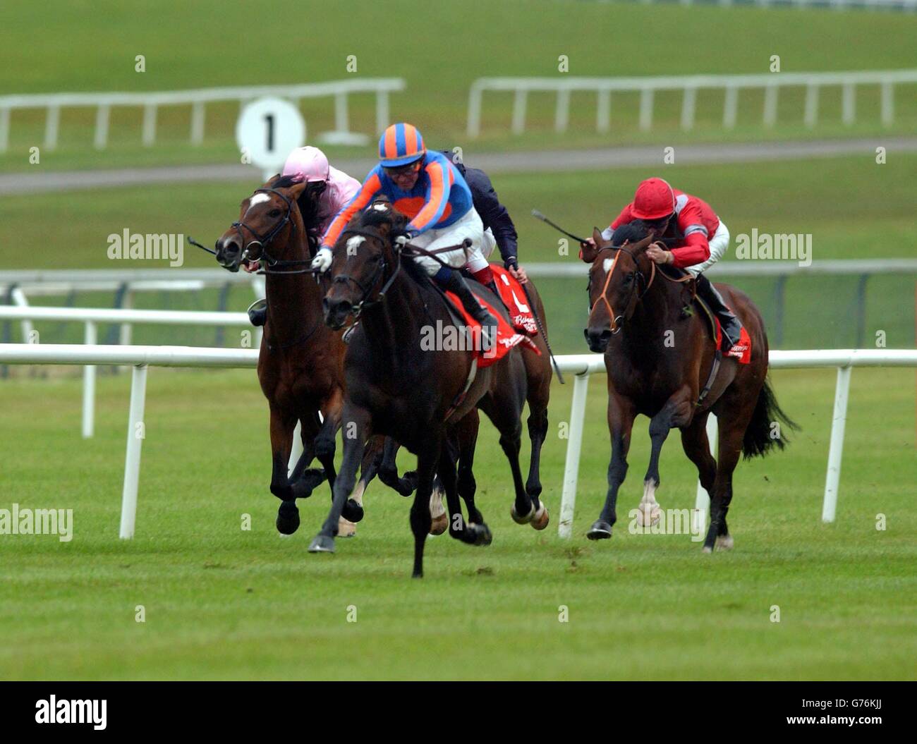 Jockey Mick Kinnane riding High Chaparral (centre) goes on to win the Budweiser Irish Derby, at the Curragh. Stock Photo
