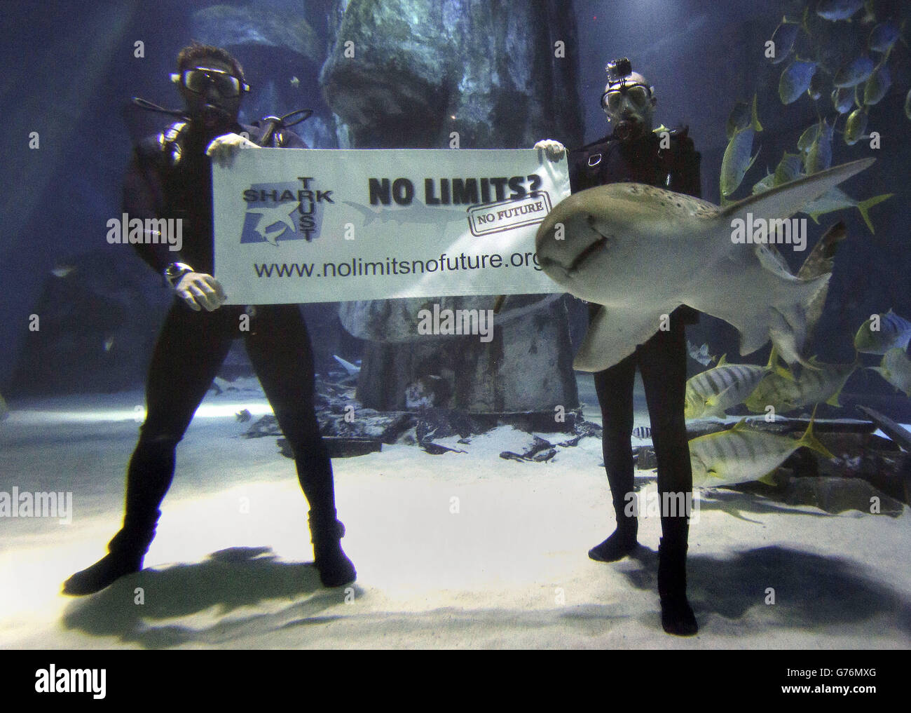 Shark Trust patron and wildlife TV presenter Steve Backshall (left