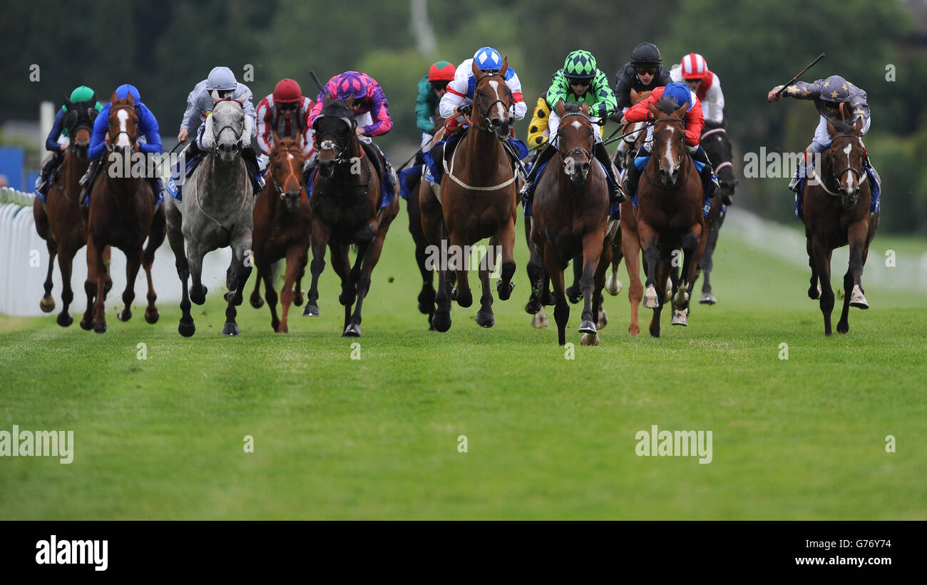 Velox (4th from right) ridden by Cam Hardie goes onto win The Coral Challenge. Stock Photo
