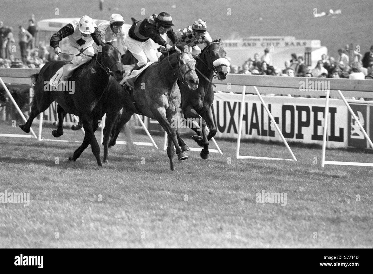 Count Pahlen (centre), with G Baxter riding, wins the Blue Riband Trial Stakes at Epsom, followed by Steel Bay with J Reid (left) and Vin St Benet with R Curant (right). Behind in fourth place is Lester Piggott on Bancario. Stock Photo