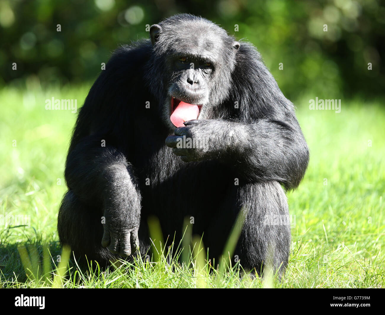 Summer weather July 9th Stock Photo Alamy