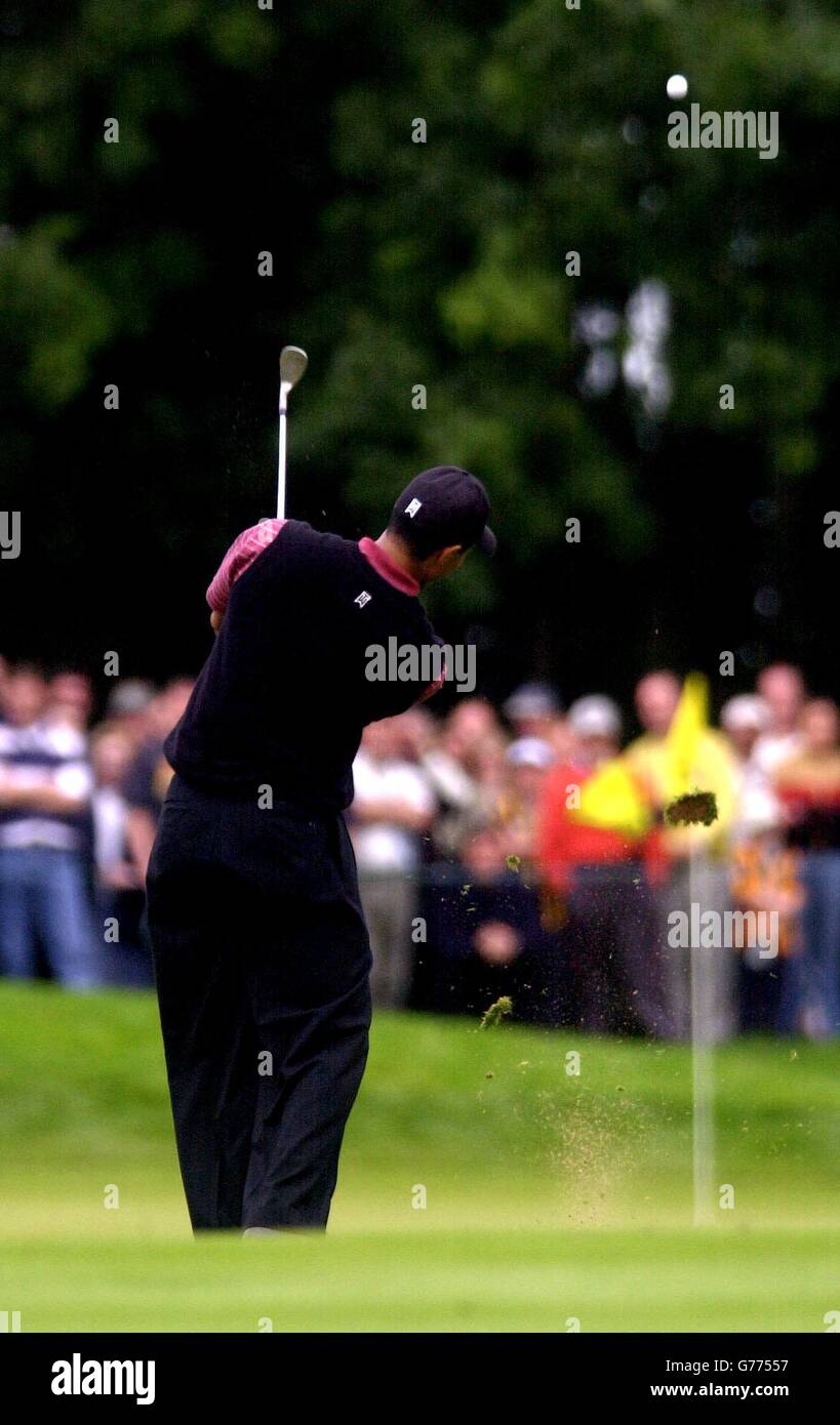 American golfer Tiger Woods hits his second shot at the first hole of Mount Juliet Golf Course, Co Kilkenny, Republic of Ireland in the fourth round of the 2002 American Express Championship. *Woods started his round in the lead with nineteen under par and stood at twenty two under after the seventh. Stock Photo