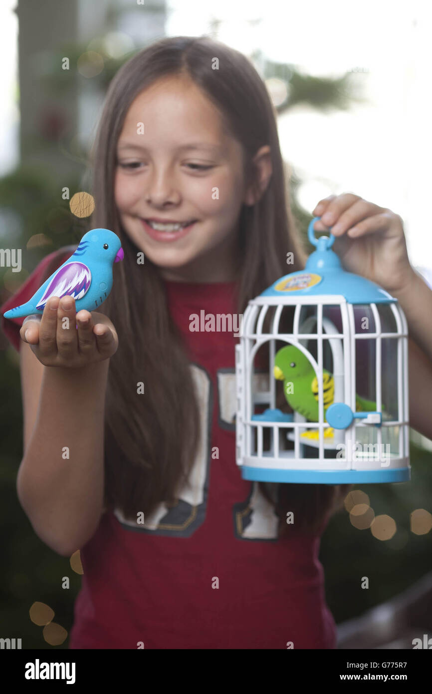 Little live pets bird argos online