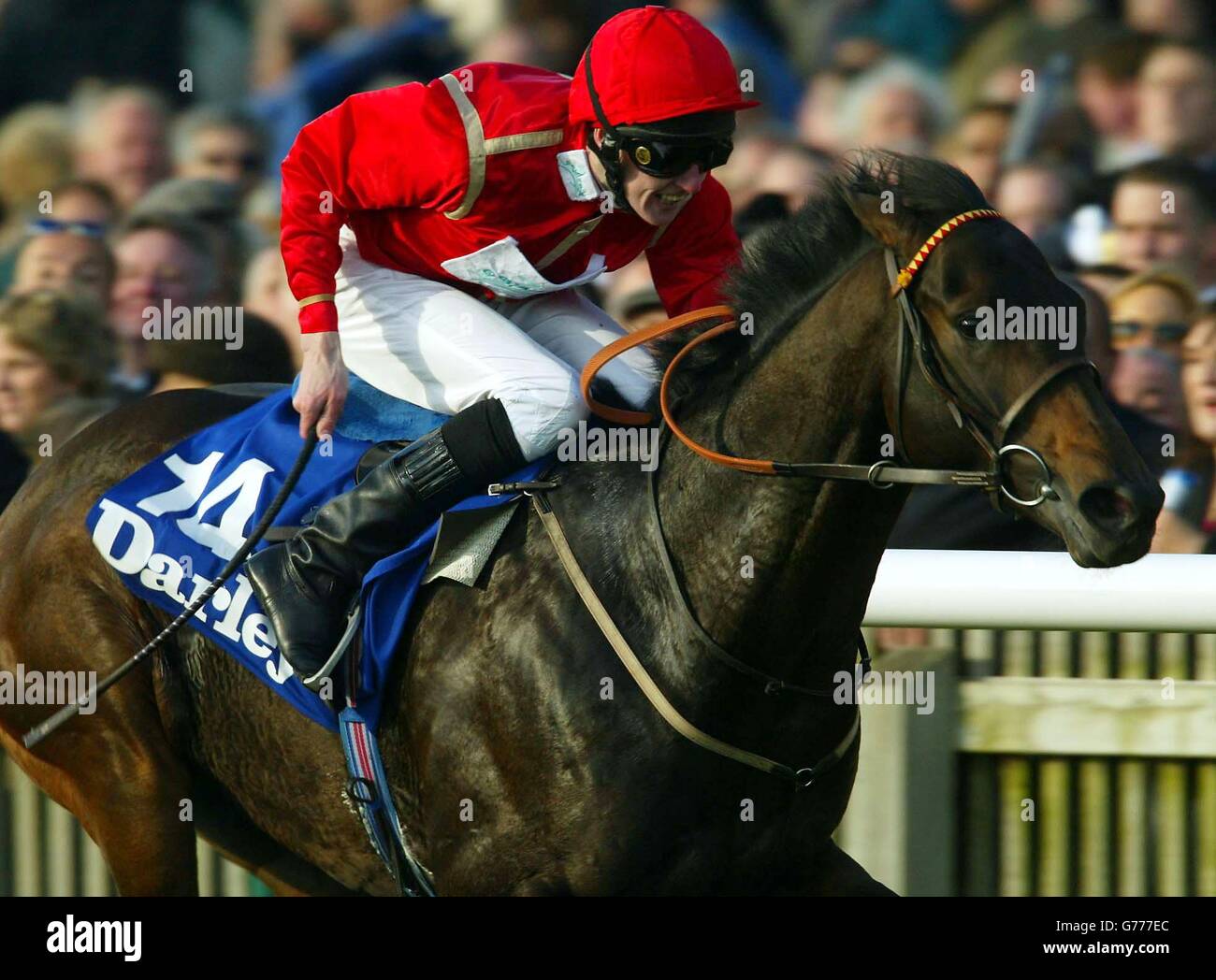 Tout Seul with jockey Steve Carson, wins the Darley Dewhurst Stakes at the Rowley Mile Racecourse, Newmarket, Suffolk. Stock Photo