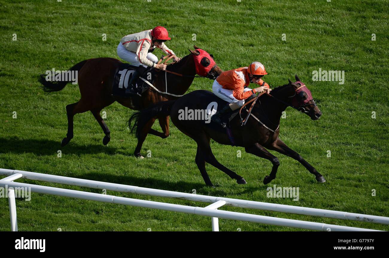 Ronnie Cook Hi Res Stock Photography And Images Alamy